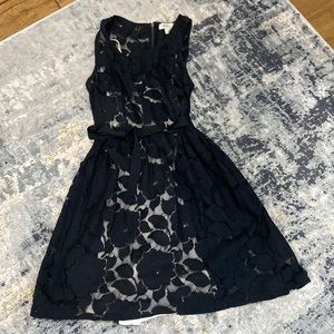 Lace detailed dress with cream lining